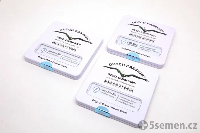 Psychedelic Corner - foto 3