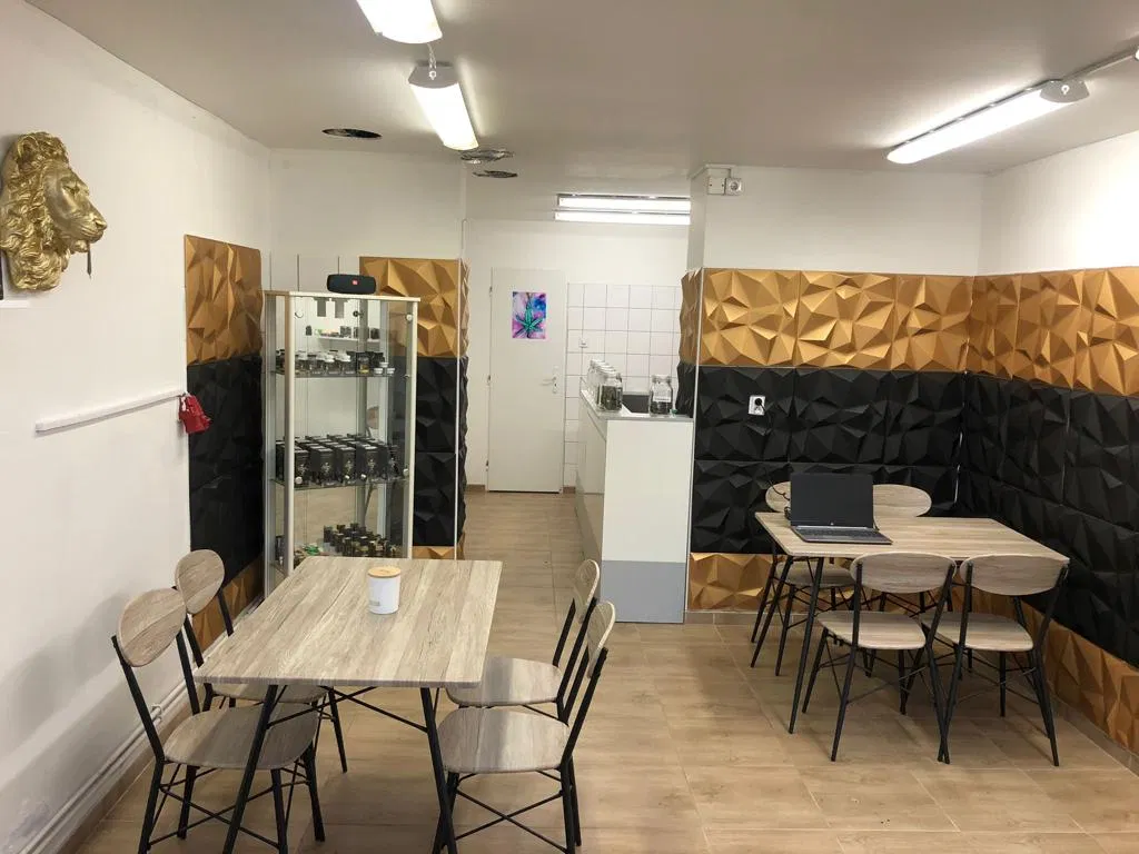 CBD Hradec Králové - foto 2