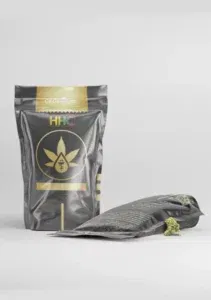 CBD Hradec Králové - foto 3