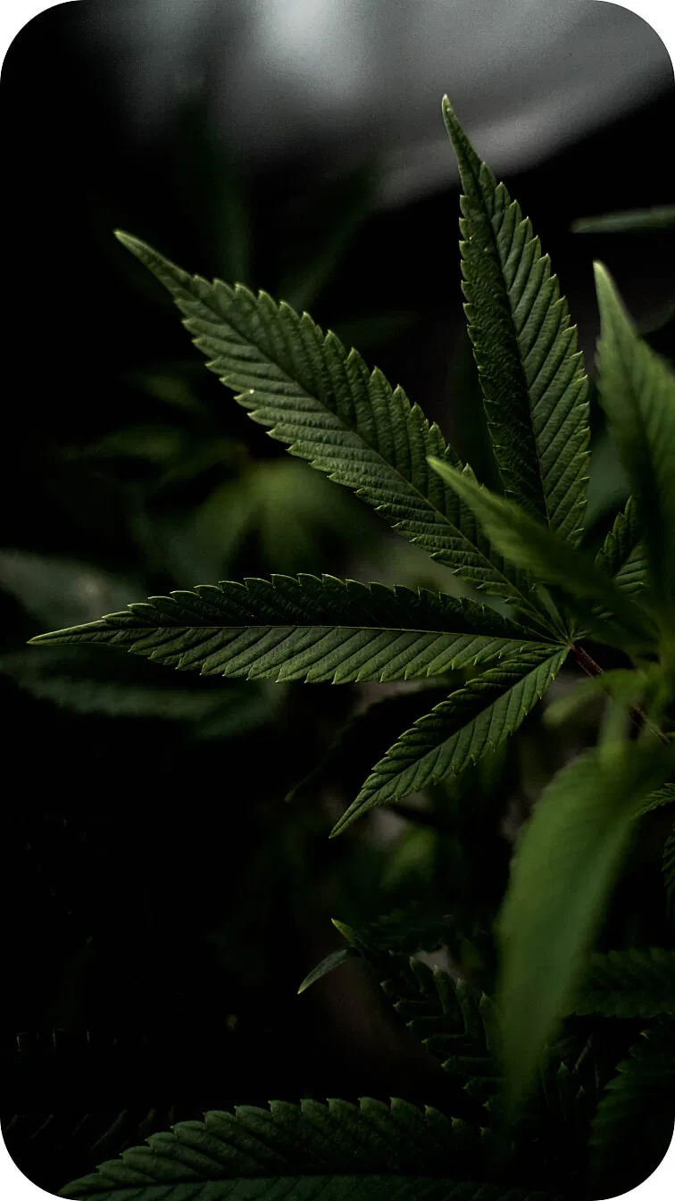 ECOprodukty - DTshops s.r.o. - foto 3