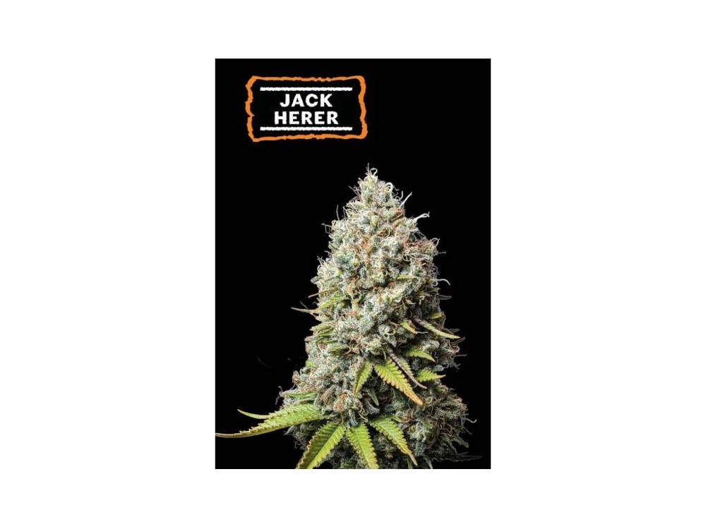 Happyseeds.cz