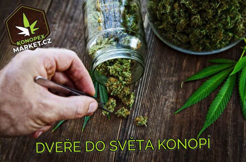 KONOPEX Market