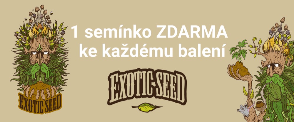 ZasadTo.cz